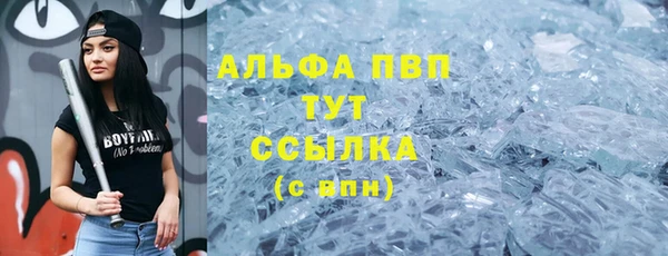 PSILOCYBIN Железногорск-Илимский
