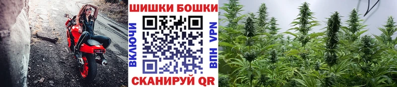 Бошки Шишки SATIVA & INDICA  дарнет шоп  МЕГА зеркало  Карабаш 